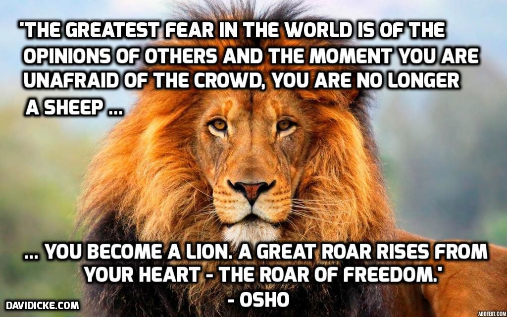 fear lion
