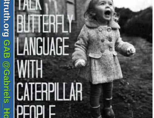 Schmetterlinge haben ihre eigene Sprache